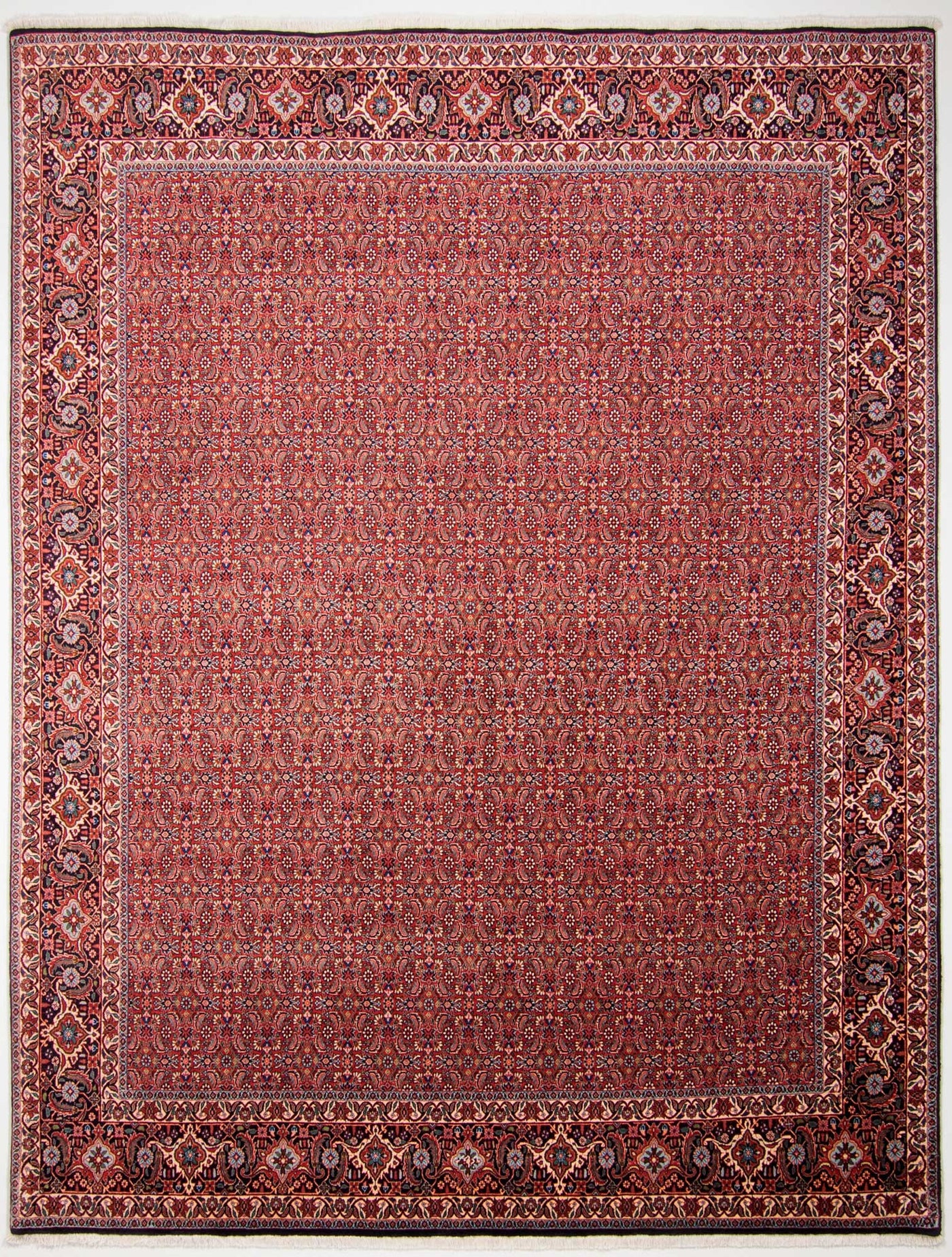 Bidjar