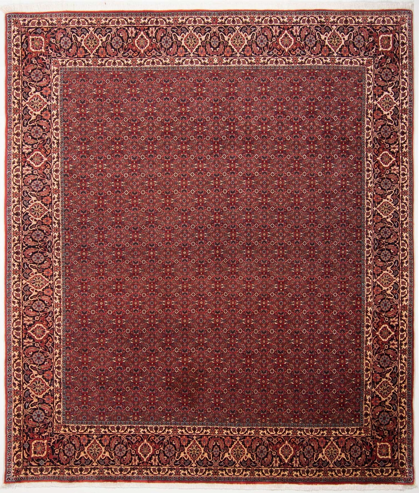 Bidjar