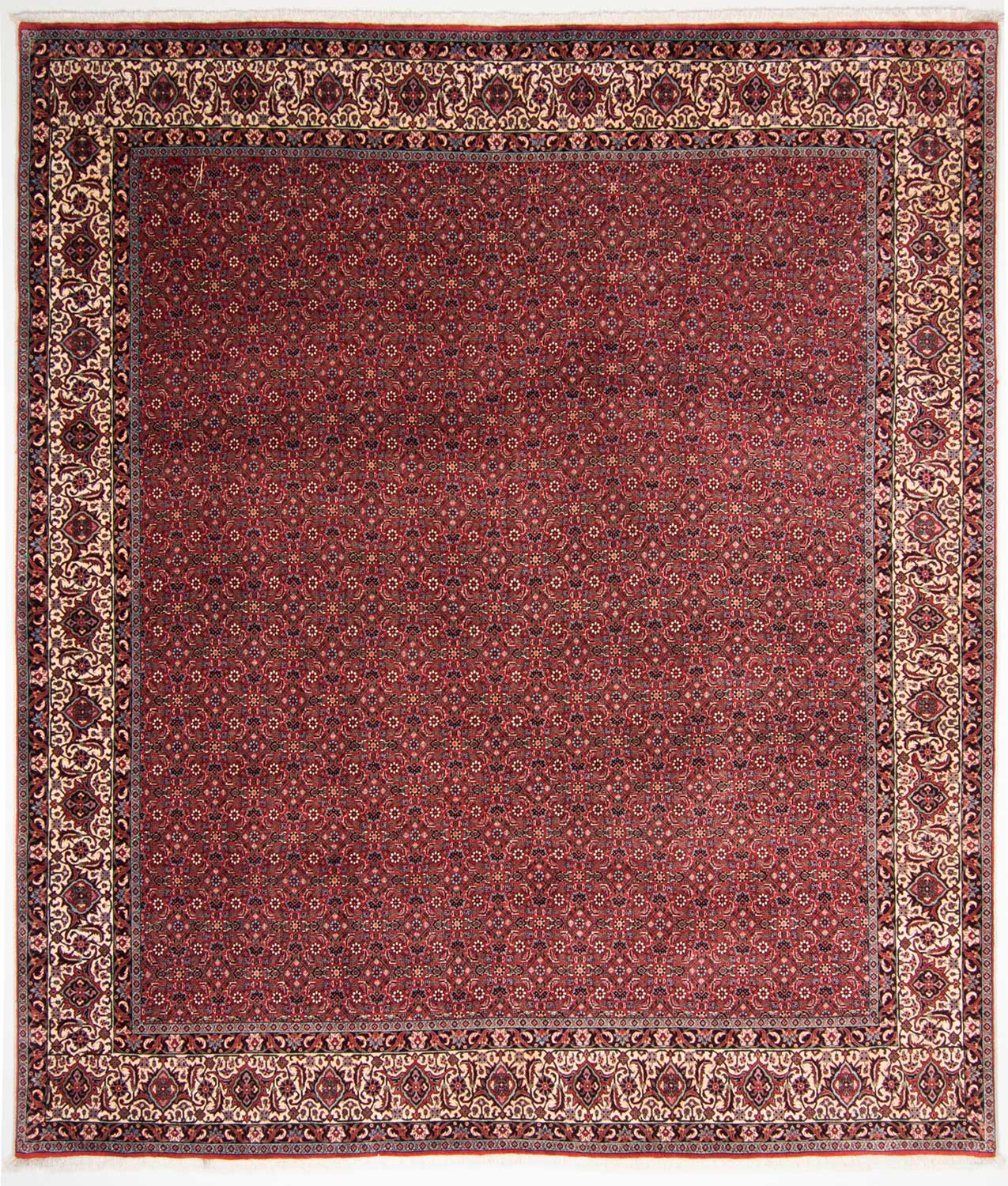 Bidjar