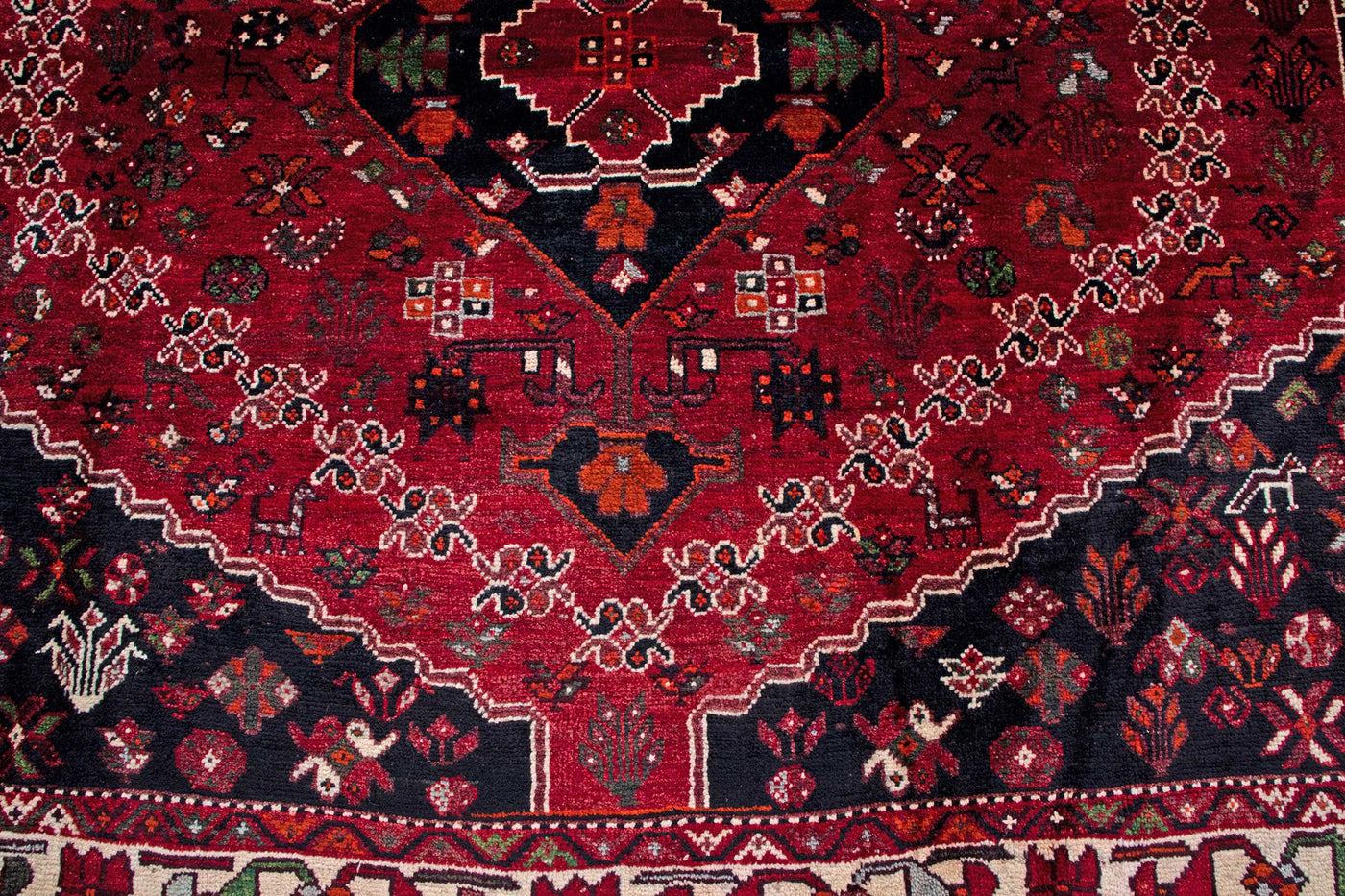 Shiraz