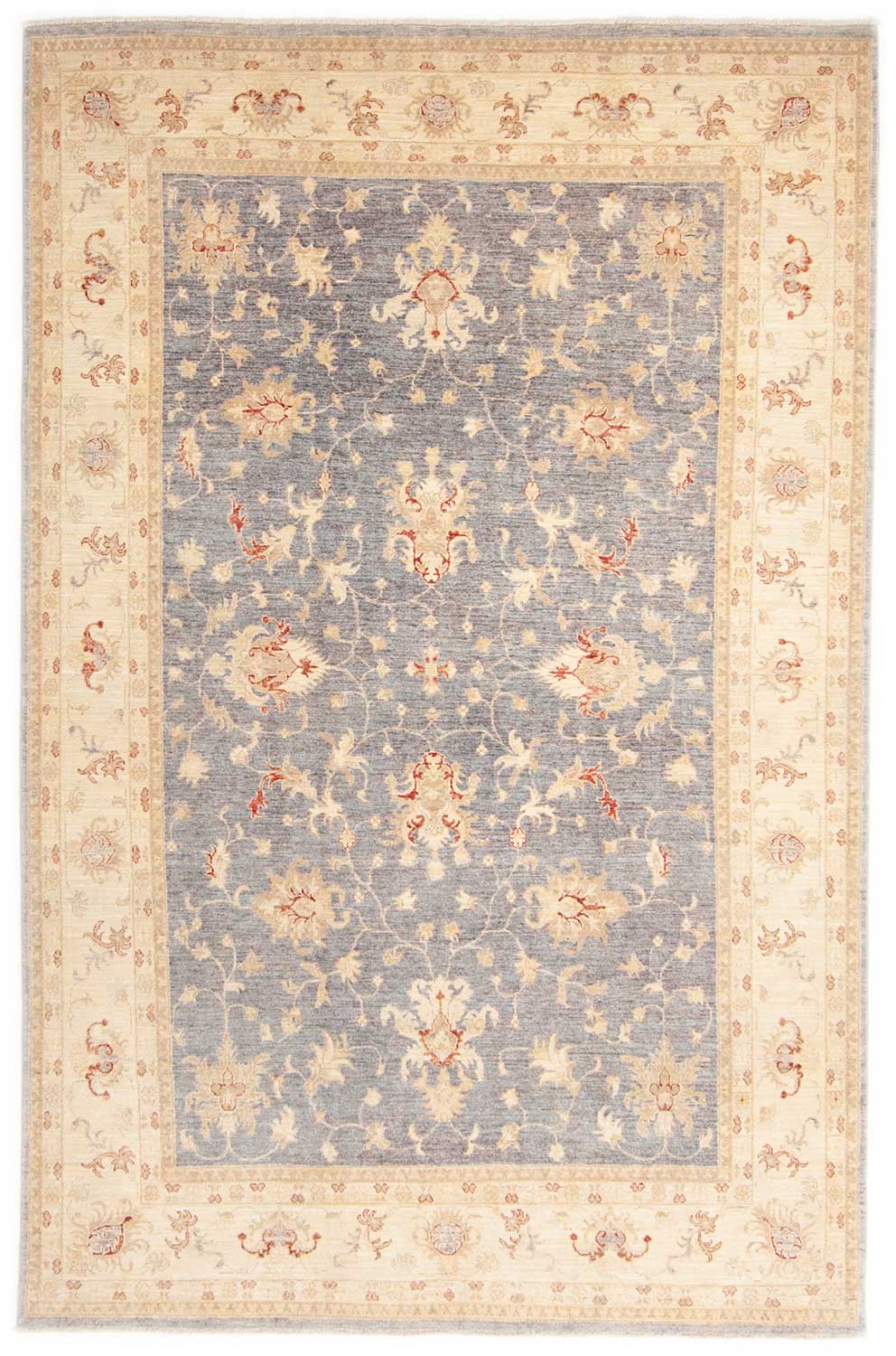 Ziegler Ocean