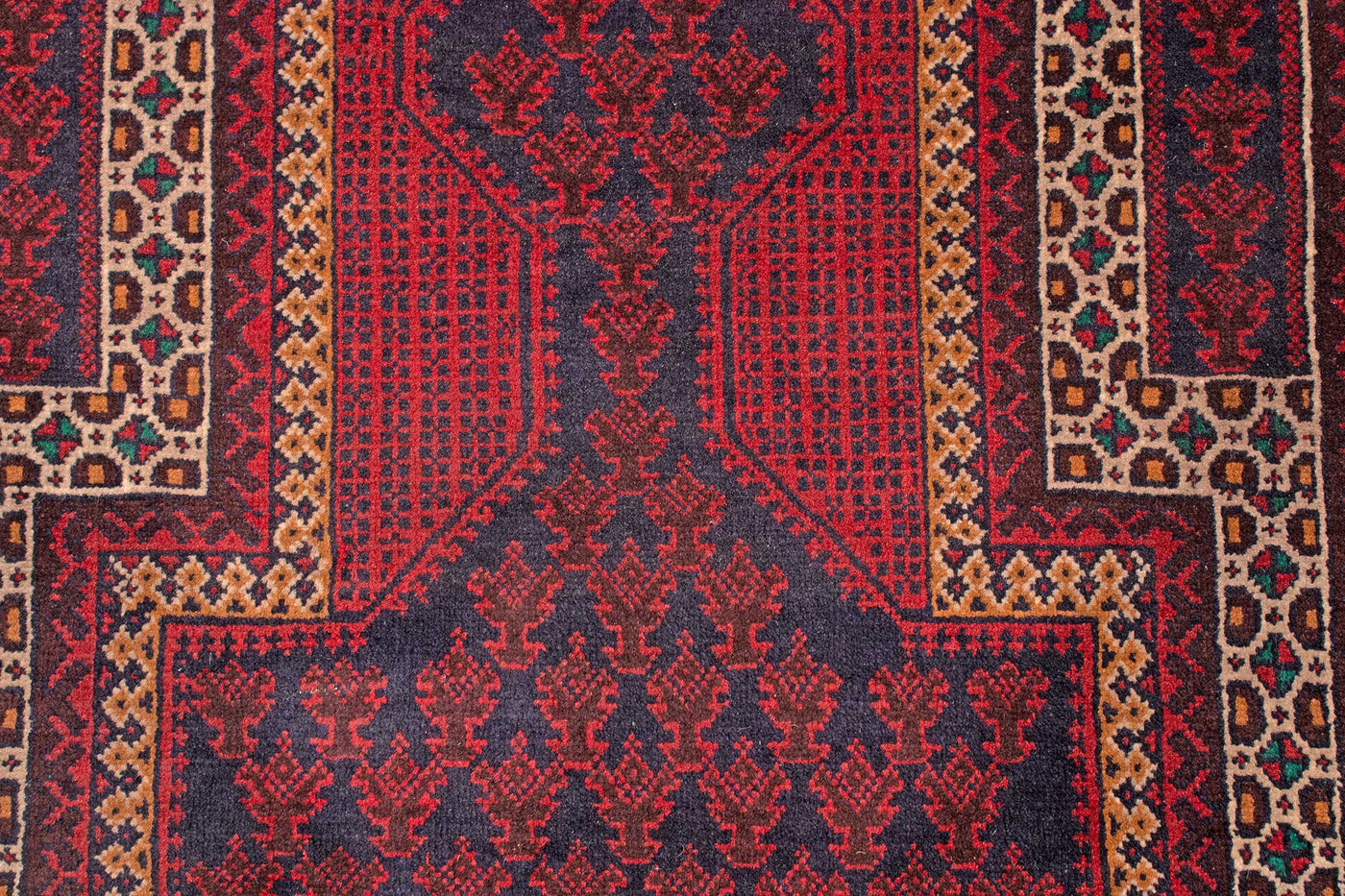 Baluch Afghan